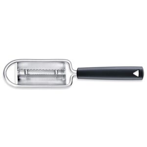 Fish scaler