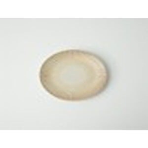 Shallow Plate